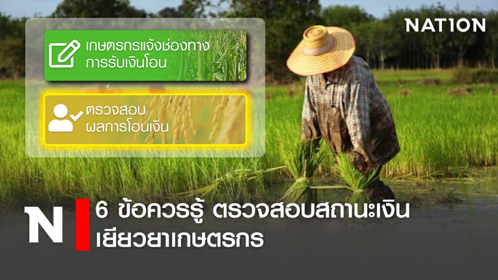 6 ข้อควรรู้ ตรวจสอบสถานะเงินเยียวยาเกษตรกร 6 ข้อควรรู้ ตรวจสอบสถานะเงินเยียวยาเกษตรกร