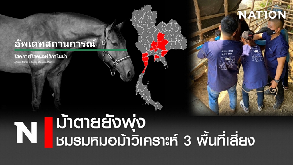 ม้าตายยังพุ่ง - ชมรมหมอม้าวิเคราะห์ 3 พื้นที่เสี่ยง
