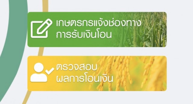 6 ข้อควรรู้ ตรวจสอบสถานะเงินเยียวยาเกษตรกร