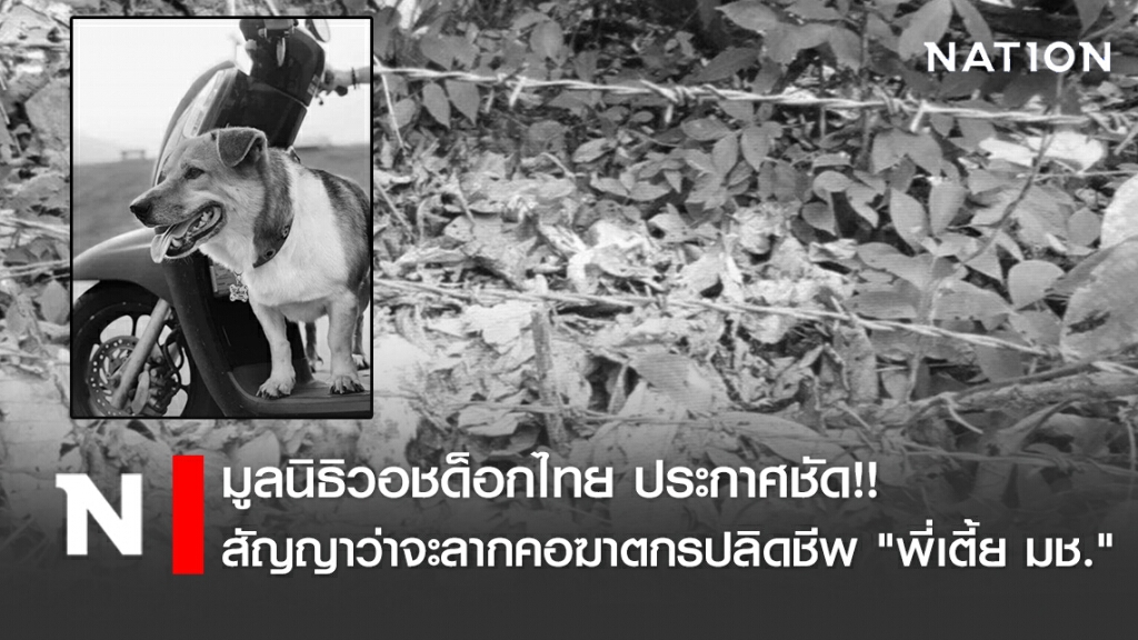 มูลนิธิวอชด็อกไทย ประกาศชัด!! ขอสัญญาว่าจะลากคอฆาตกรปลิดชีพ "พี่เตี้ย มช."