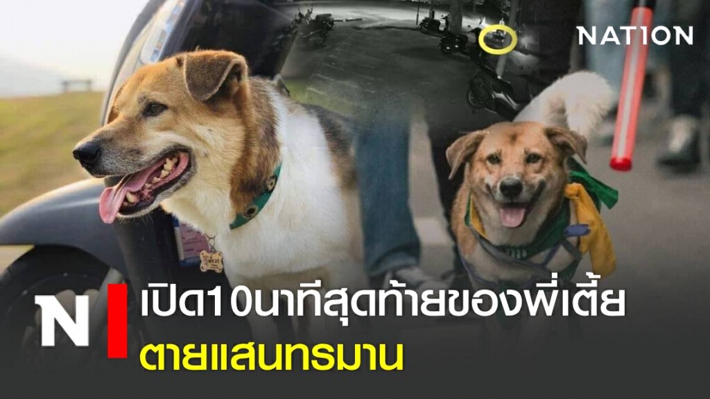 บีบหัวใจเหลือเกิน.. วอชด็อก เปิด10นาทีสุดท้ายของพี่เตี้ย ตายแสนทรมาน