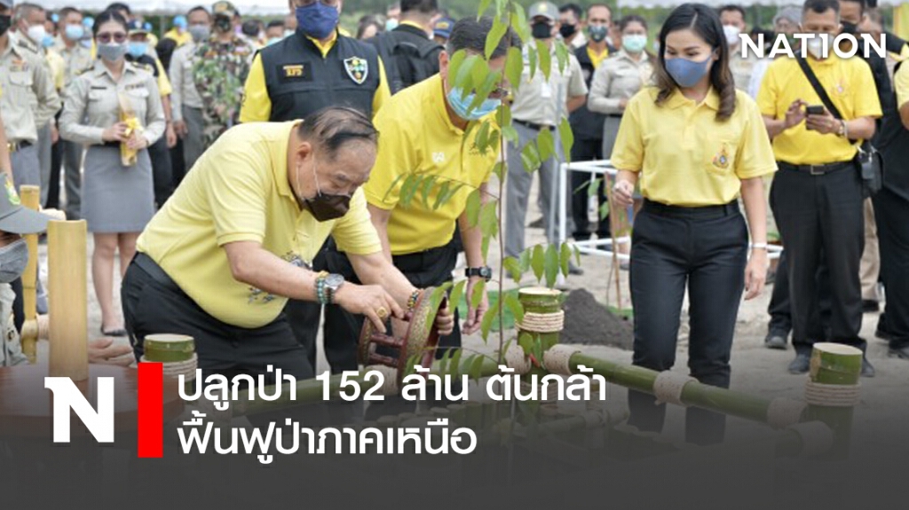 ปลูกป่า 152 ล้าน ต้นกล้า ฟื้นฟูป่าภาคเหนือ