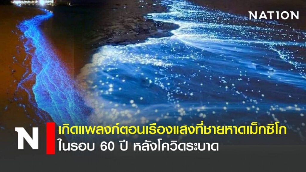 เกิดแพลงก์ตอนเรืองแสงที่ชายหาดเม็กซิโก ในรอบ 60 ปี