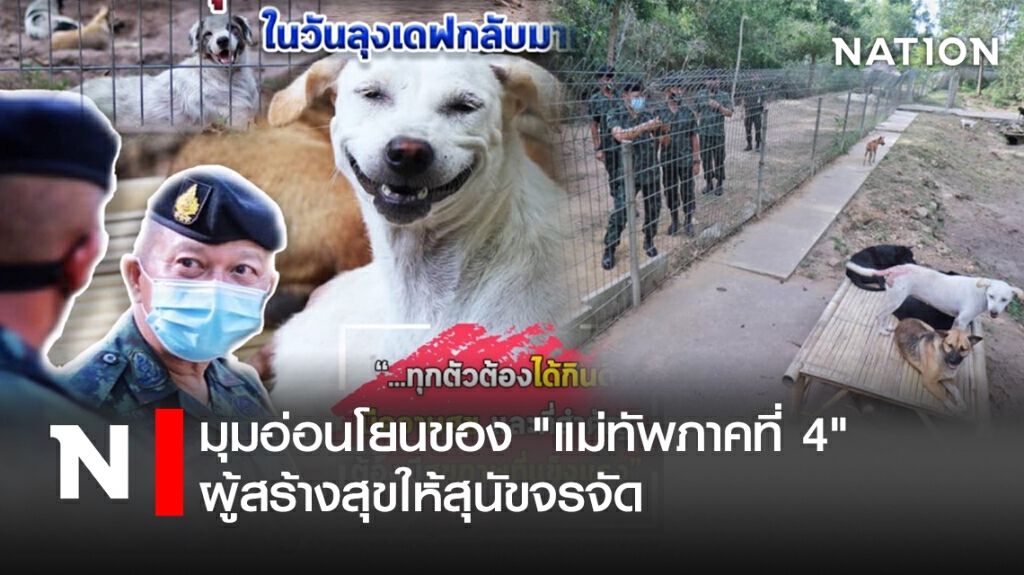 มุมอ่อนโยนของ "แม่ทัพภาคที่ 4" ผู้สร้างสุขให้สุนัขจรจัด