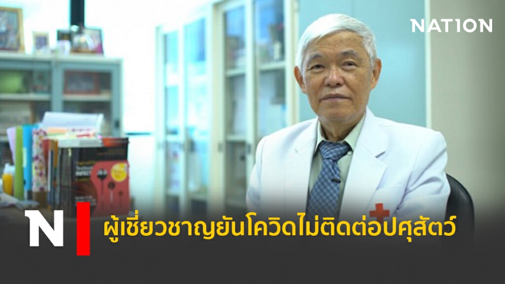 ผู้เชี่ยวชาญยันโควิดไม่ติดต่อปศุสัตว์ ผู้เชี่ยวชาญยันโควิดไม่ติดต่อปศุสัตว์