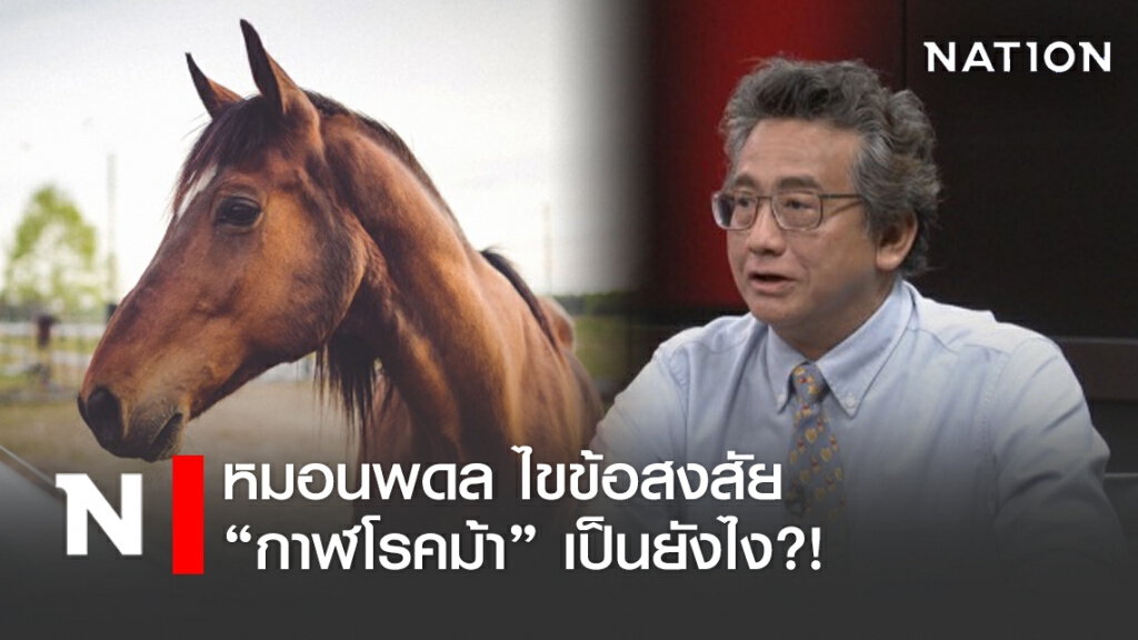 หมอนพดล เผย "กาฬโรคม้า" เป็นอย่างไร?