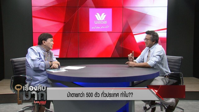 แฉสนั่น! นักการเมืองเอี่ยวขบวนการลักลอบค้าม้าลายแอฟริกาต้นตอโรคระบาดม้าตายในเมืองไทย!