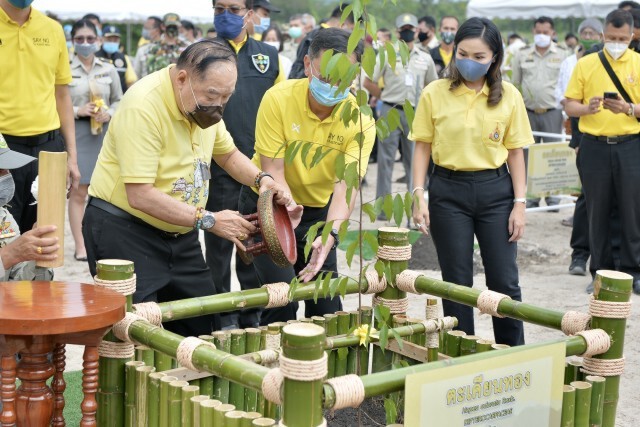 "ประวิตร" ลุย เชียงใหม่ ปลูกต้นไม้ฟื้นฟูป่าดอยสุเทพ