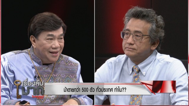 แฉสนั่น! นักการเมืองเอี่ยวขบวนการลักลอบค้าม้าลายแอฟริกาต้นตอโรคระบาดม้าตายในเมืองไทย!