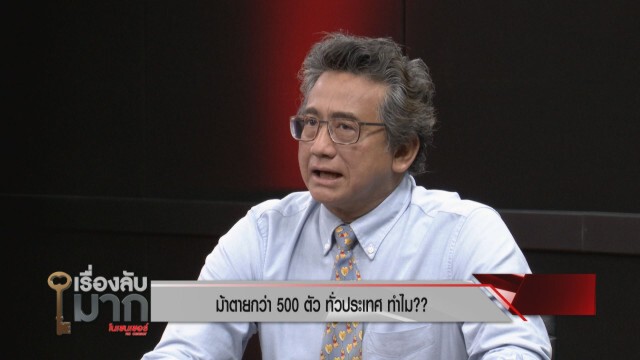 แฉสนั่น! นักการเมืองเอี่ยวขบวนการลักลอบค้าม้าลายแอฟริกาต้นตอโรคระบาดม้าตายในเมืองไทย!