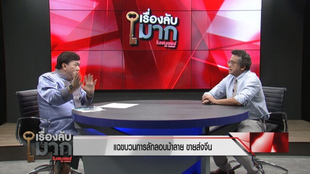 แฉสนั่น! นักการเมืองเอี่ยวขบวนการลักลอบค้าม้าลายแอฟริกาต้นตอโรคระบาดม้าตายในเมืองไทย!