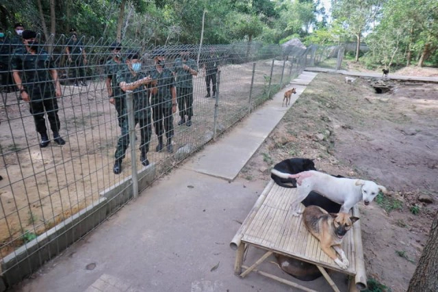 มุมอ่อนโยนของ "แม่ทัพภาคที่ 4" ผู้สร้างสุขให้สุนัขจรจัด