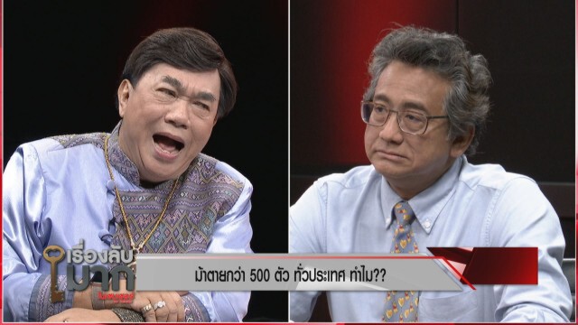 แฉสนั่น! นักการเมืองเอี่ยวขบวนการลักลอบค้าม้าลายแอฟริกาต้นตอโรคระบาดม้าตายในเมืองไทย!
