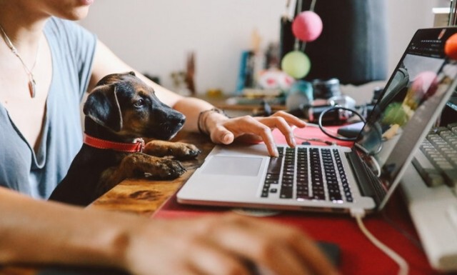 เจ้าพ่อเฟซบุ๊ก แจงทำงานที่บ้านได้ แบบ Remote Work