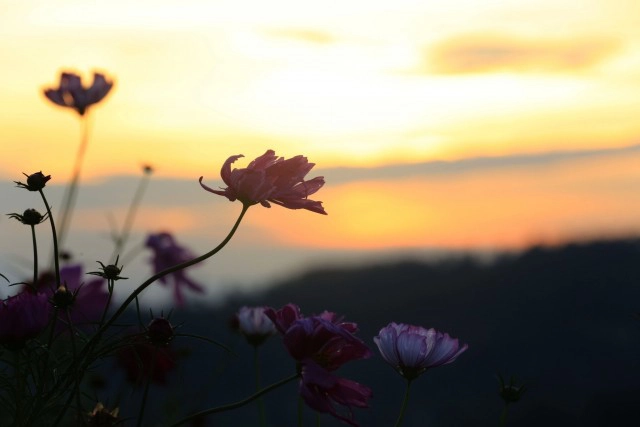 รวมพลเที่ยว "เพชรบูรณ์" ยามเช้า