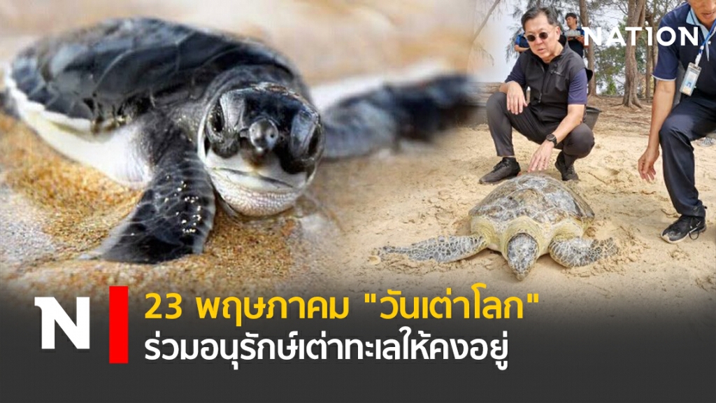 23 พฤษภาคม "วันเต่าโลก" ร่วมอนุรักษ์เต่าทะเลให้คงอยู่