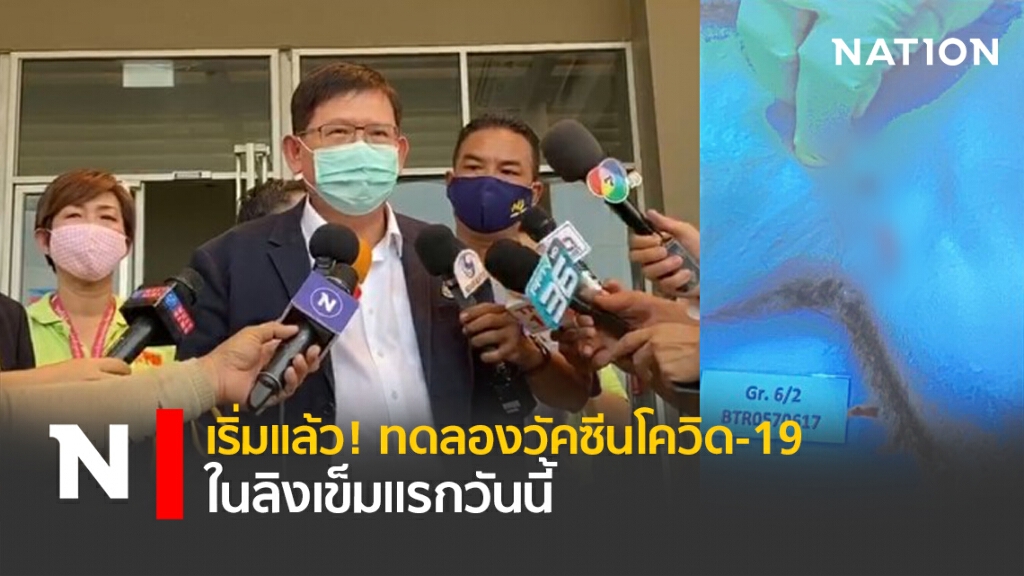 เริ่มแล้ว! ทดลองวัคซีนโควิด-19 ในลิงเข็มแรกวันนี้