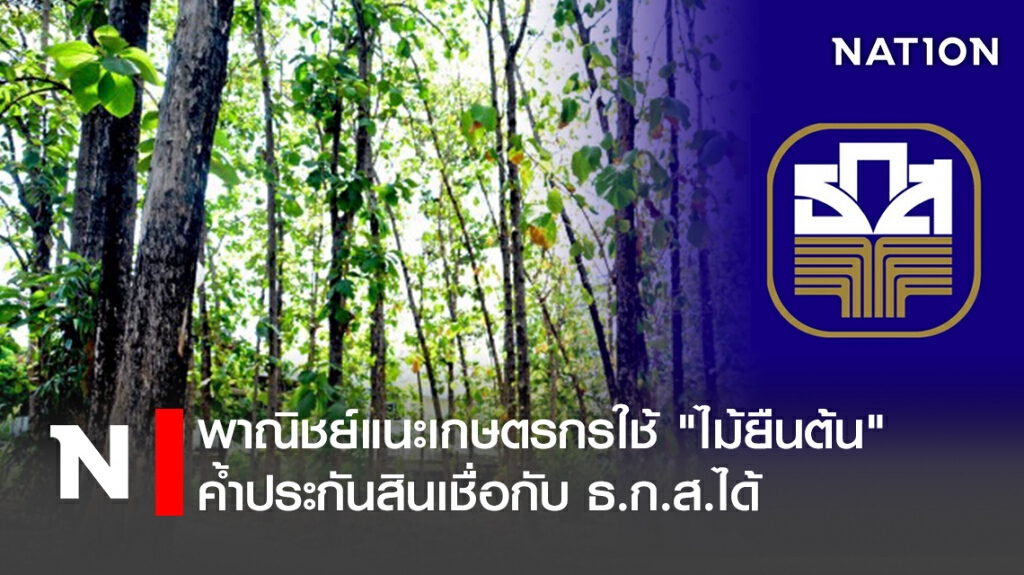 พาณิชย์แนะเกษตรกรใช้ "ไม้ยืนต้น" ค้ำประกันสินเชื่อกับธ.ก.ส.ได้