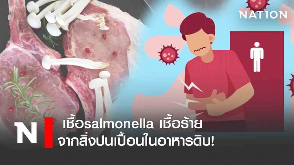 เชื้อแบคทีเรีย salmonella เชื้อร้ายจากสิ่งปนเปื้อนในอาหารดิบ!