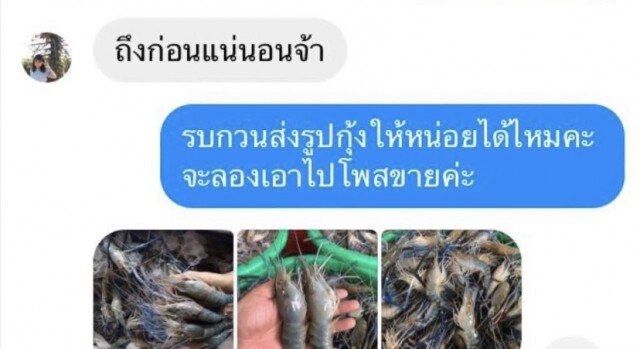 พิษโควิด-19 สองผัวเมียตกงาน หันมาขายออนไลน์ ถูกมิจฉาชีพหลอกซ้ำ