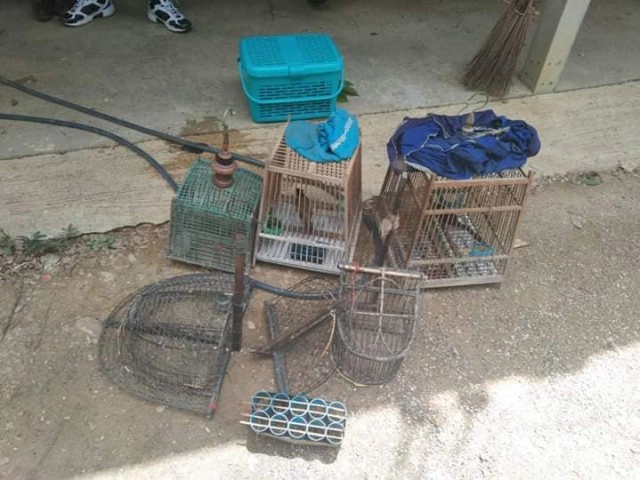 ล้วงจากรัง !! ชุดพญาเสือ ขยายผลจับกุม พรานล่านกกางเขนดง โพสต์ขายลูกนกยกรัง