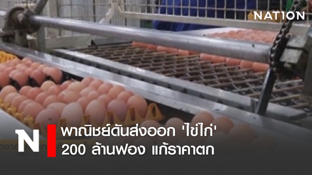 พาณิชย์ดันส่งออก 'ไข่ไก่' 200 ล้านฟอง แก้ราคาตก