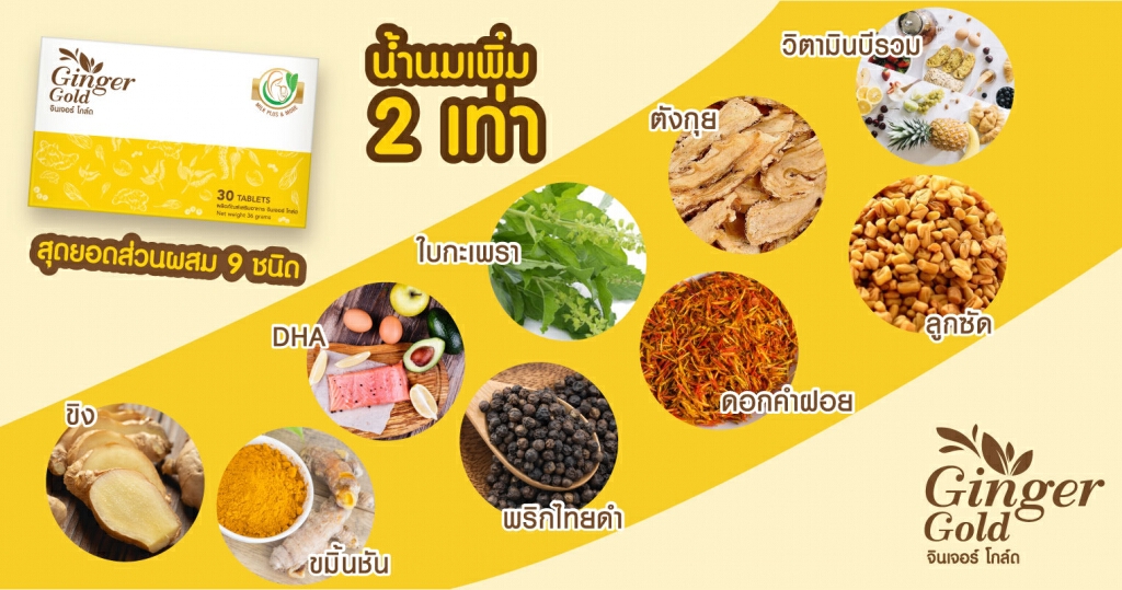มหิดล​เผยวิตามินเพิ่มน้ำนมที่มีประสิทธิภาพ​มากที่สุด มนุษย์แม่ใจเต้นคูณสอง "Ginger Gold"