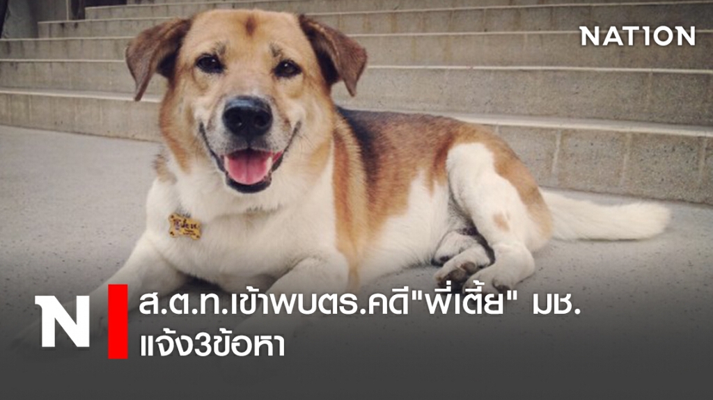 ส.ต.ท.เข้าพบตร.คดี"พี่เตี้ย" มช. -แจ้ง3ข้อหา