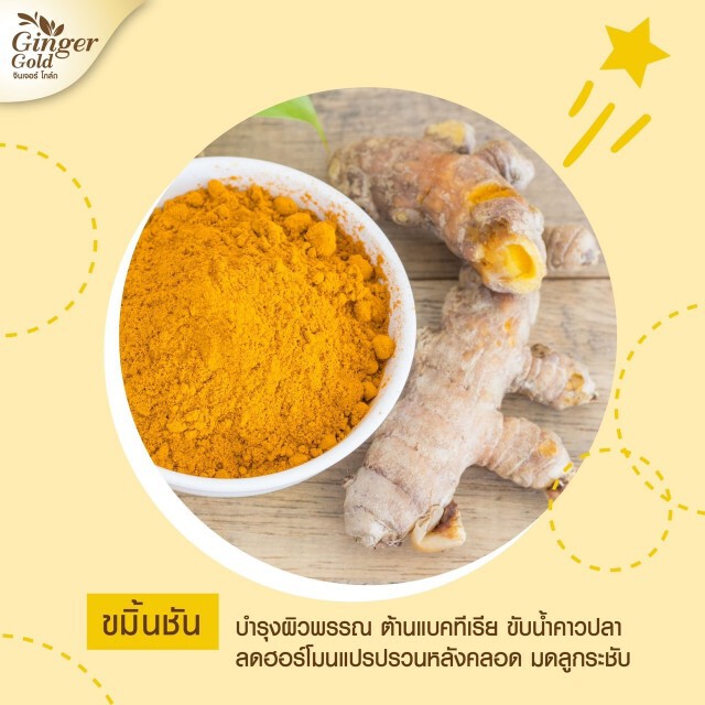 มหิดล​เผยวิตามินเพิ่มน้ำนมที่มีประสิทธิภาพ​มากที่สุด มนุษย์แม่ใจเต้นคูณสอง "Ginger Gold"