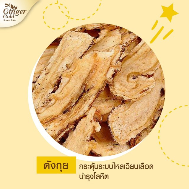มหิดล​เผยวิตามินเพิ่มน้ำนมที่มีประสิทธิภาพ​มากที่สุด มนุษย์แม่ใจเต้นคูณสอง "Ginger Gold"