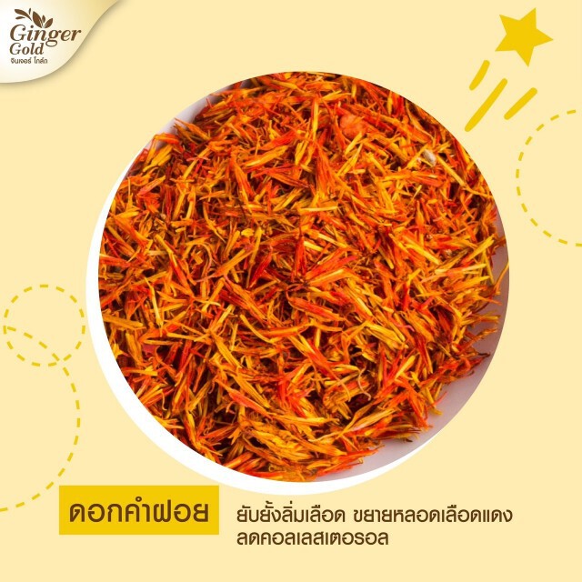 มหิดล​เผยวิตามินเพิ่มน้ำนมที่มีประสิทธิภาพ​มากที่สุด มนุษย์แม่ใจเต้นคูณสอง "Ginger Gold"