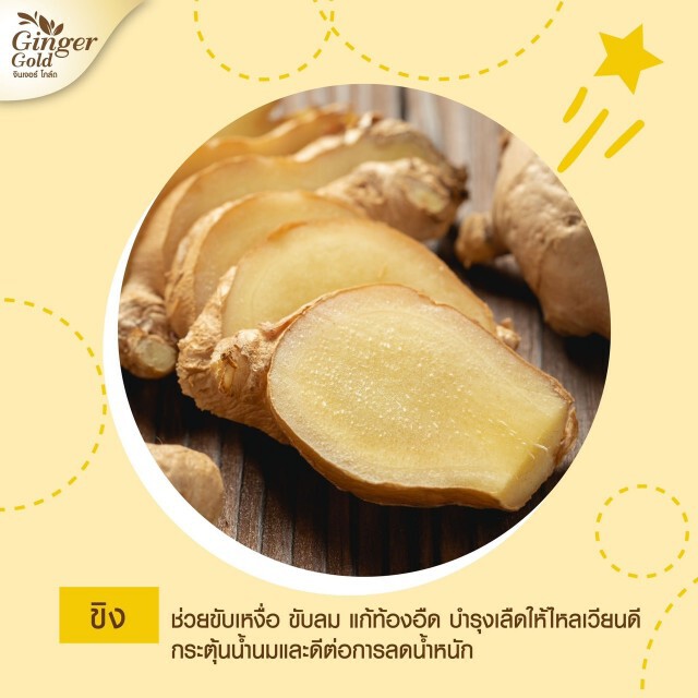 มหิดล​เผยวิตามินเพิ่มน้ำนมที่มีประสิทธิภาพ​มากที่สุด มนุษย์แม่ใจเต้นคูณสอง "Ginger Gold"