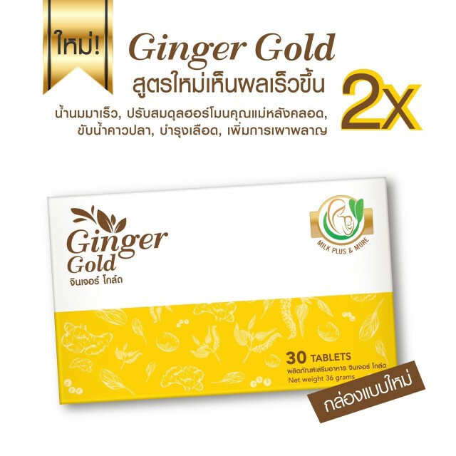 มหิดล​เผยวิตามินเพิ่มน้ำนมที่มีประสิทธิภาพ​มากที่สุด มนุษย์แม่ใจเต้นคูณสอง "Ginger Gold"