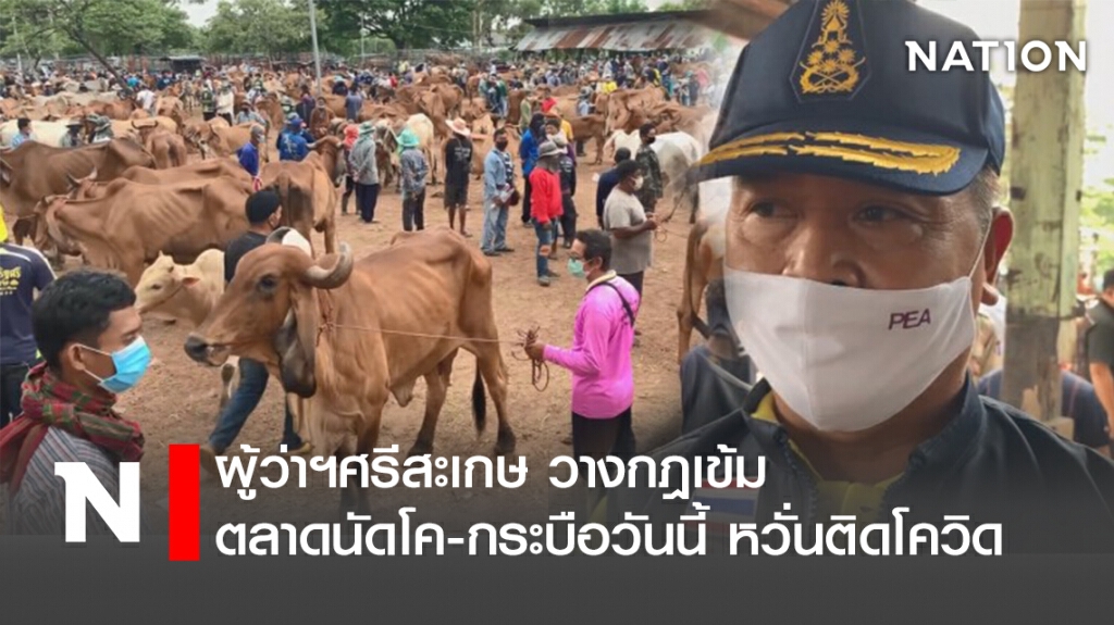 ผู้ว่าฯศรีสะเกษ วางกฎเข้มตลาดนัดโค-กระบือวันนี้ หวั่นติดโควิด