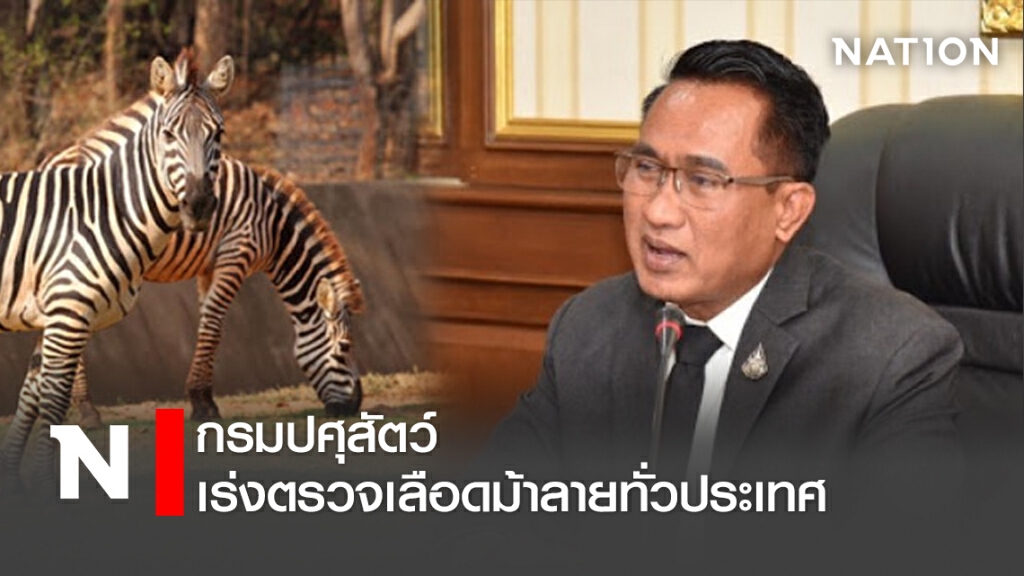 กรมปศุสัตว์ เร่งตรวจเลือดม้าลายทั่วประเทศ