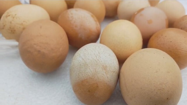 ไข่ปลอมระบาดหนัก! มิจฉาชีพนำใส่รถ 6 ล้อเร่ขาย