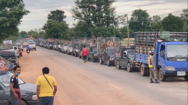 ผู้ว่าฯศรีสะเกษ วางกฎเข้มตลาดนัดโค-กระบือวันนี้ หวั่นติดโควิด