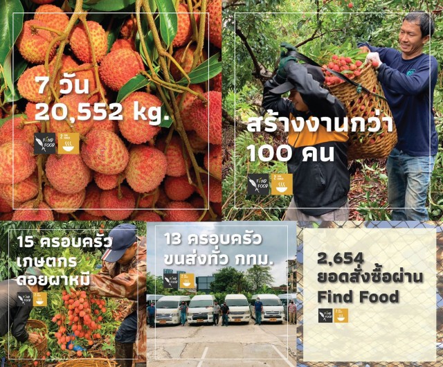 เกษตรกรไทยพลิกวิกฤตเป็นโอกาสใช้ LINE ขยายช่องทางธุรกิจ