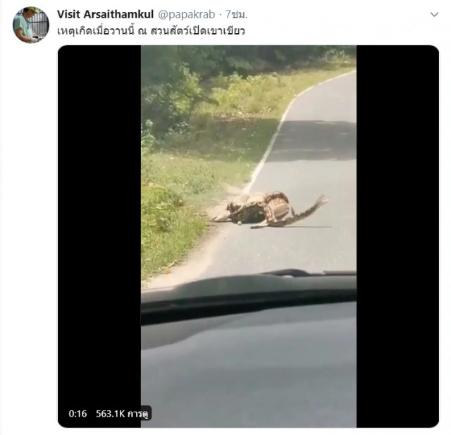 วินาทีชีวิต!! งูเหลือมรัดกวางดาว กลางสวนสัตว์เปิดเขาเขียว