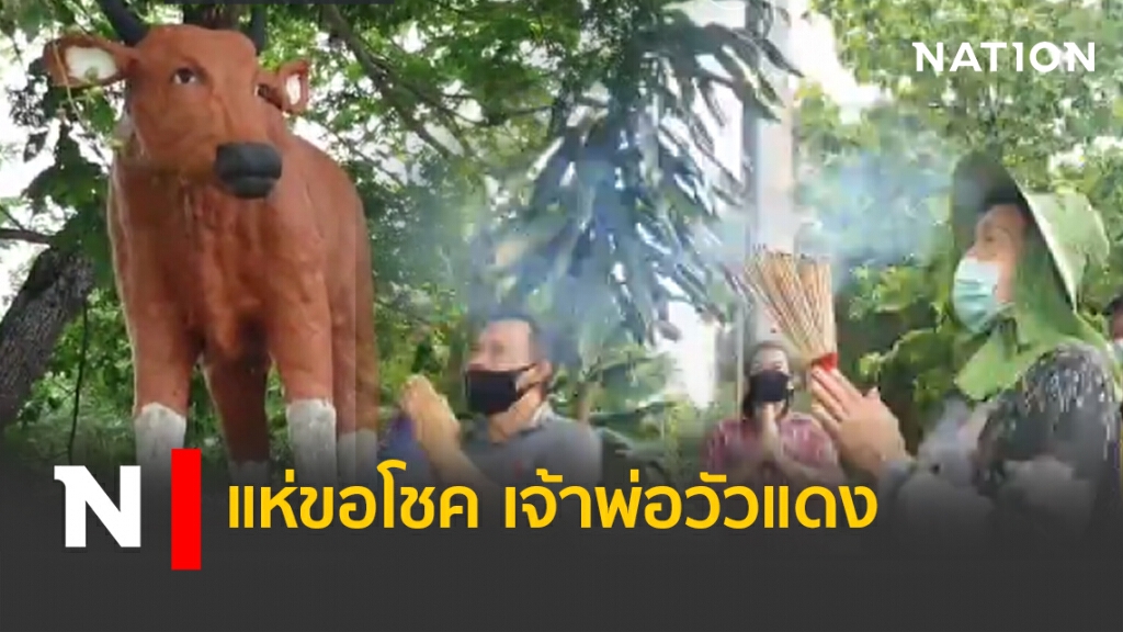 แห่ขอโชค เจ้าพ่อวัวแดง