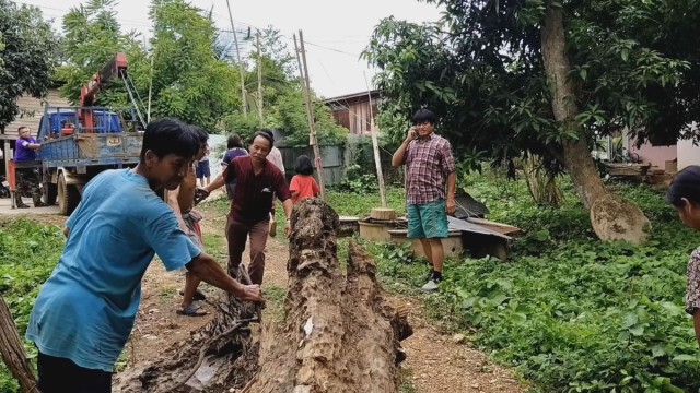 แห่กราบไหว้ไม้ตะเคียนอายุกว่า 200ปี ชาวบ้านเชื่อให้โชคลาภ