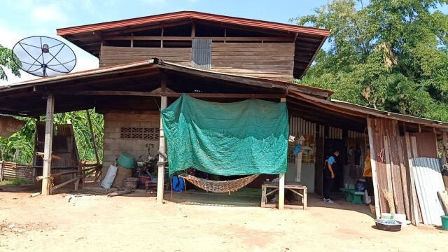 ทัพแมลงวันฟาร์มหมูบุกบ้าน