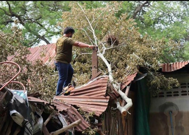 ลมพายุพัดต้นไม้โค่นทับบ้านพัง ตำรวจ สภ.มหาราช นำเสาไม้ช่วยชาวบ้าน