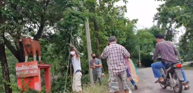 แห่ขอโชค เจ้าพ่อวัวแดง