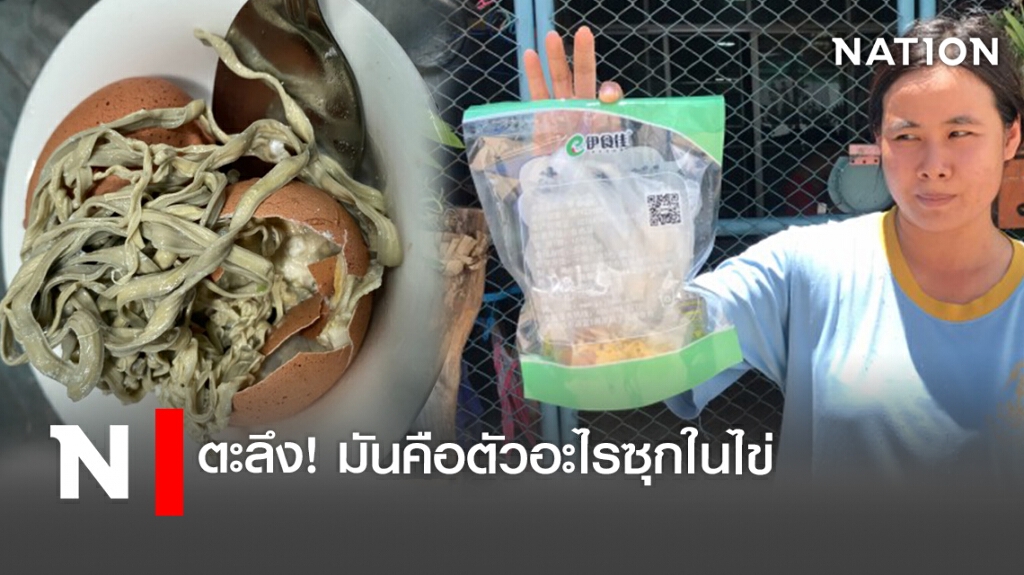 ตะลึง! มันคือตัวอะไรซุกในไข่ ตะลึง! มันคือตัวอะไรซุกในไข่