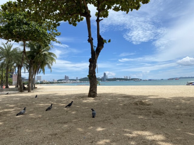 เปิดชายหาดพื้นที่พัทยา วันแรก เงียบเหงา ไร้เงานักท่องเที่ยว