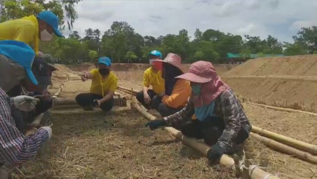 ก.แรงงานติดตาม"ฟาร์มตัวอย่าง บุรีรัมย์" ฟื้นฟูอาชีพท้องถิ่น