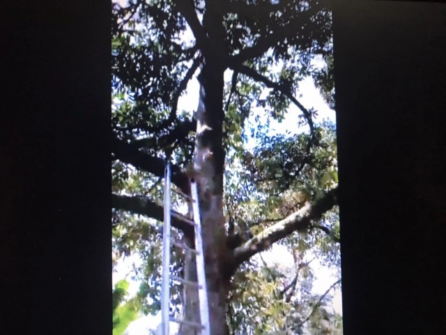 โกงความตาย! ผู้กองฮีโร่ปั้มหัวใจช่วยชีวิตหนุ่มชาวสวน