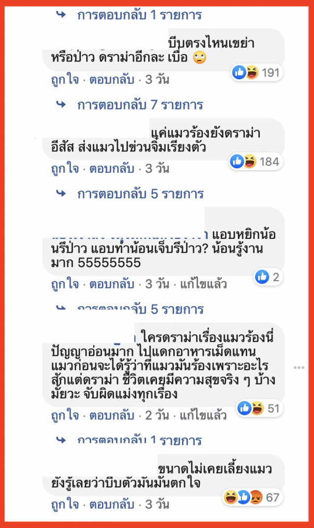 ดราม่า "ธามไท"ง้อ"โฟร์"ชาวเน็ตถาม"บีบแมวทำไม ?"