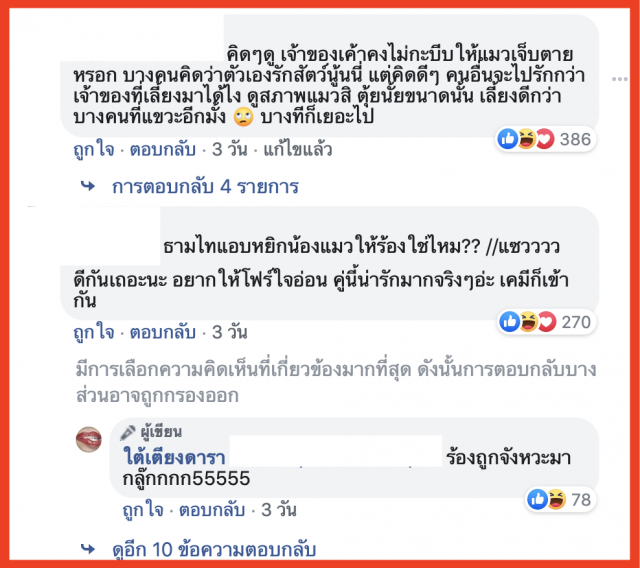 ดราม่า "ธามไท"ง้อ"โฟร์"ชาวเน็ตถาม"บีบแมวทำไม ?"